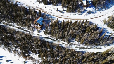 689 W Hunter Ridge Dr, Brian Head, UT 84719 - photo 3