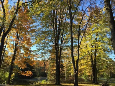 664 E Pioneer Trail, Aurora, OH 44202 - photo 6