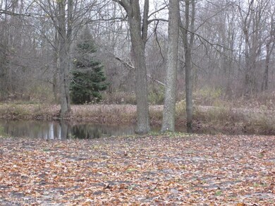 1040 E 120th St, Grant, MI 49327 - photo 2