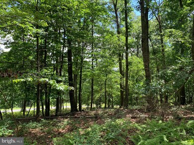 Lot 21 Trout Pass, Lost River, WV 26801 - photo 4