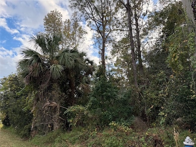 22 Westglen Ln, Palm Coast, FL 32162 - photo 3