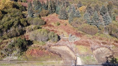 dji_fly_20231003_145656_674_169783706212