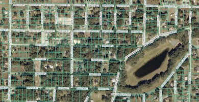 TBD SW 103rd St, Dunnellon, FL 34432 - photo 3