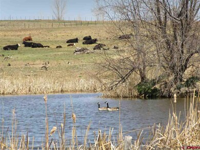 TBD Road L (114 26 Ac), Cortez, CO 81321 - photo 3