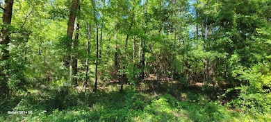 Dell Rd, Bainbridge, GA 39819 - photo 3