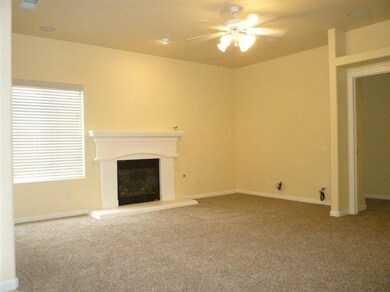 Gas Fireplace in Living Room