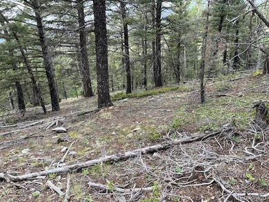 Lot 6184 Ryland Rd, San Pablo, CO 81152 - photo 7