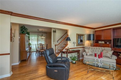 Living and dining rooms