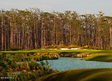 2049 Simmerman Way, Leland, NC 28451 - photo 5