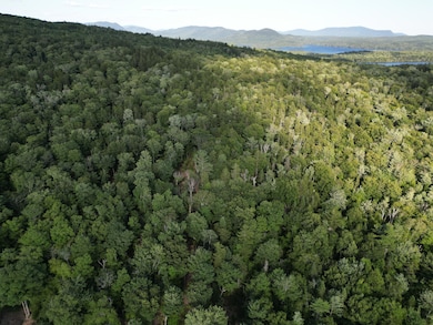 DJI_0490