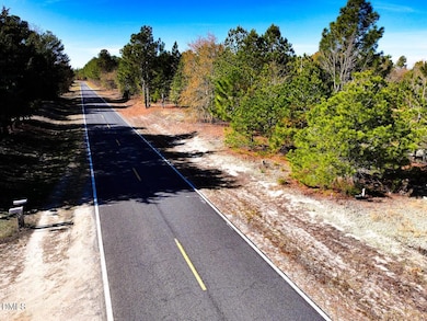 0000 Jesse Smith Rd, Laurel Hill, NC 28351 - photo 6