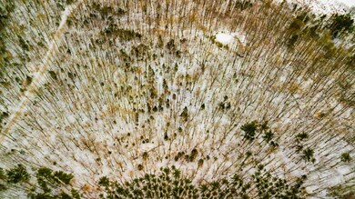 0000 Northey Hill Rd unit Lot 8B - 110.7 acres, Lisbon, NH 03585 - photo 2