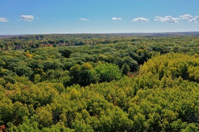 0 Gibraltar Bluff Rd, Gibraltar, WI 54212 - photo 6