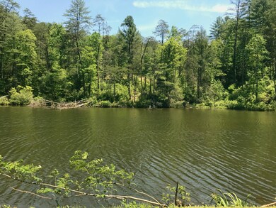 community lake