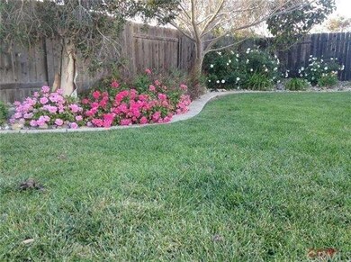 Lovely landscaping in backyard