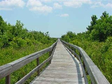 205 Royal Palms Way, Holly Ridge, NC 28445 - photo 3