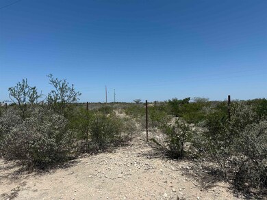 281 Sherman, Del Rio, TX 78840 - photo 2