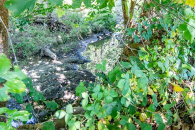Bummer Creek 1907 Wawter rights