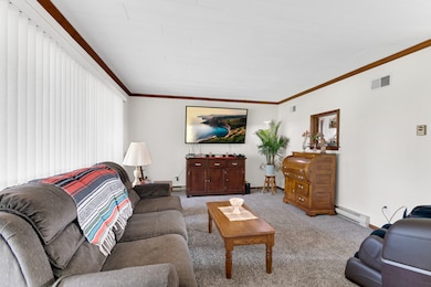 1007 W Corning Rd, Beecher, IL 60401 - photo 3