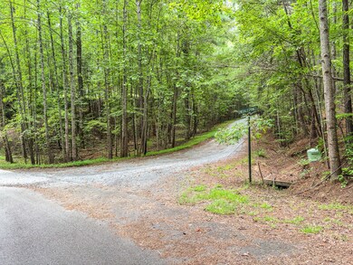 372 Emerald Springs Ln, Ellijay, GA 30540 - photo 7