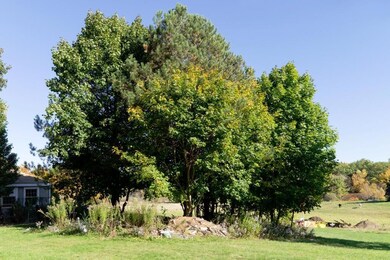 Nice Landscape