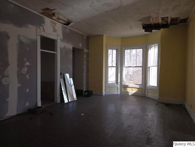 243 Main St, Carthage, IL 62321 - photo 6