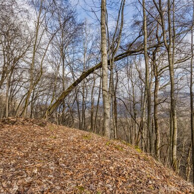 3 Michael Dr unit 3, Waynesville, NC 28785 - photo 4