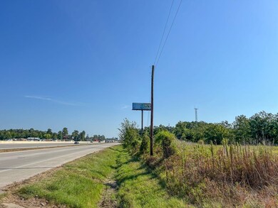 Us Highway 59, New Caney, TX 77357 - photo 5