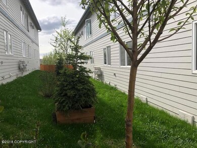 Back View 2 and Back Yard