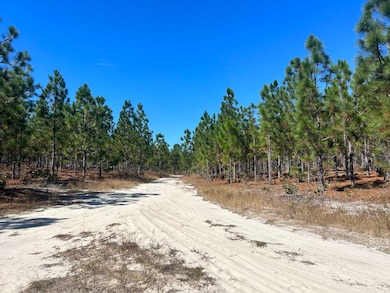 5710 Lake Robinson Rd, Hartsville, SC 29550 - photo 6