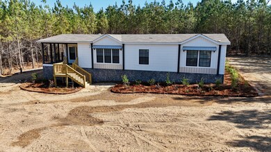 1262 Penny Morris Rd, Baxley, GA 31513 - photo 5