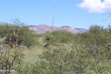 TBD E Naiche Rd unit 56, Saint David, AZ 85630 - photo 2