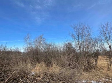 000 Grapevine Ave, Tomah, WI 54660 - photo 2