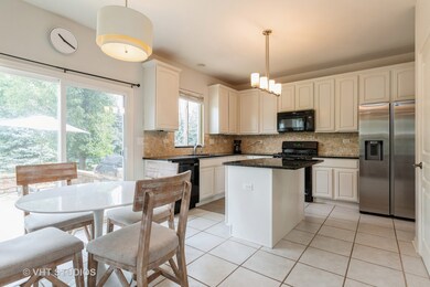 6 Steiner Ct, Algonquin, IL 60102 - photo 7