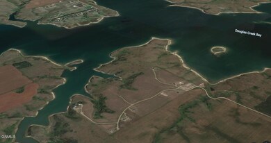 Google Image