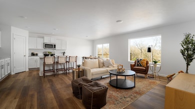 Living-Area