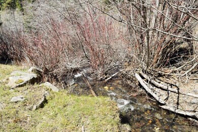 0 Elk Creek Rd unit 201803967, Bates, OR 97817 - photo 7