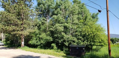 Nhn Pioneer Rd, Libby, MT 59923 - photo 4