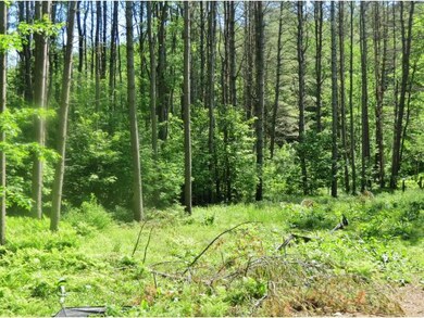 TBD Spruce, Ludlow, VT 05149 - photo 5