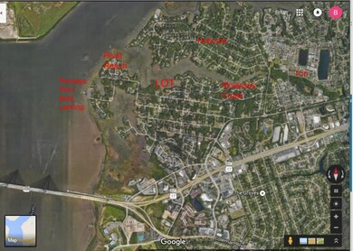 Large Map with Markers jpeg
