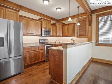 171 Falcon Trace unit C421, Boone, NC 28607 - photo 3