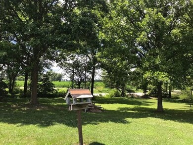 20670 Roberts Dr, Sheridan, IN 46069 - photo 2