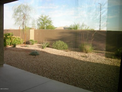 backyard landscape