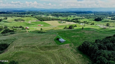 3250 Old Ducktown Rd, Limestone, TN 37681 - photo 3