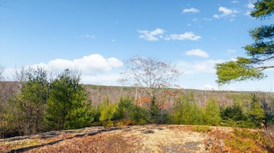 448 Lowell Town Rd, Wiscasset, ME 04578 - photo 6