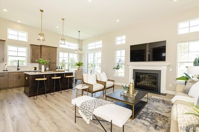 0 Unknown unit MIS25065183, O'Fallon, MO 63385 - photo 2