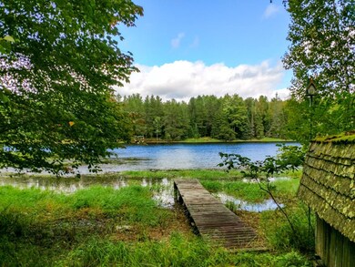 W8610 Silver Birch Rd, Tomahawk, WI 54487 - photo 3