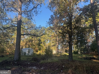 201 Waters Grove Rd, Sylvania, GA 30467 - photo 2