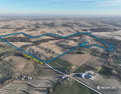 290th Street, College Springs, IA 51637 - photo 5