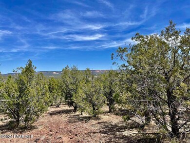 2026 Albert Way, Ash Fork, AZ 86320 - photo 4